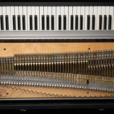 Fender Rhodes 54 key 1980 - Nero image 2
