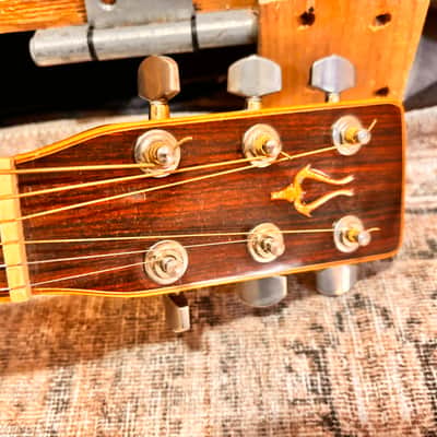 Daion The 80 Acoustic Guitar Vintage MIJ Japan image 5