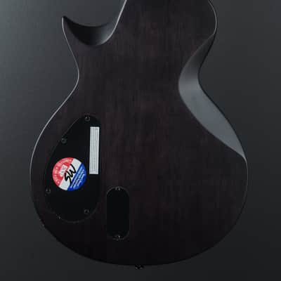 ESP/LTD BB-600 Baritone Signature Series Ben Burnley image 5