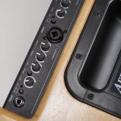 AER Compact-60/4-ONT | 60W Acoustic Amp w/ 8" Speaker, Natural Oak. New with Full Warranty! image 4