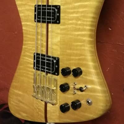 Ribbecke  Bass 1982 Vintage Custom Thunderbird Bass Very Very Rare 1 of 4 image 4