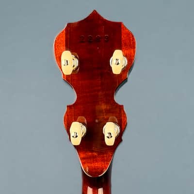 Custom Deering Eagle II 19-Fret Tenor Openback Banjo image 10