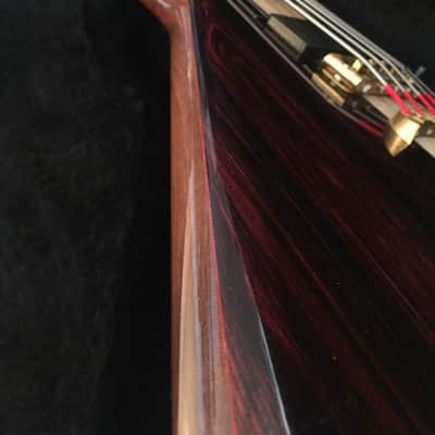 Alembic Exploiter Custom Coco Bolo 5-string bass image 2