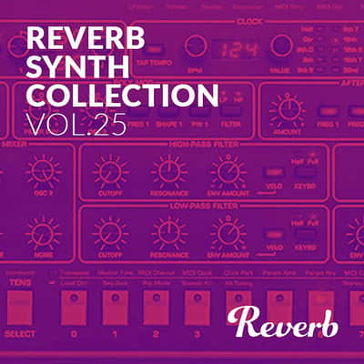 Reverb Sequential Circuits Prophet-6 Synth Collection Sample Pack by Rik Marston image 1
