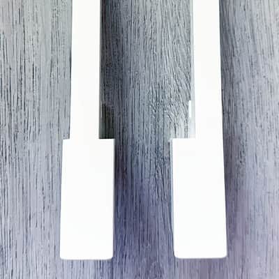 Yamaha DGX-200,DGX-202,DGX-203,DGX-205,PSR-GX76 Lowest 2 G,B-White Key Group