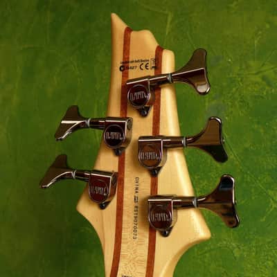 ESP LTD B-5E Neck-thru active 5-string bass (Mahogany top version) image 5