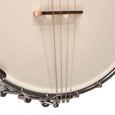 Gold Tone Model IT-250 Irish Tenor 4-String Open Back Banjo with Case image 10