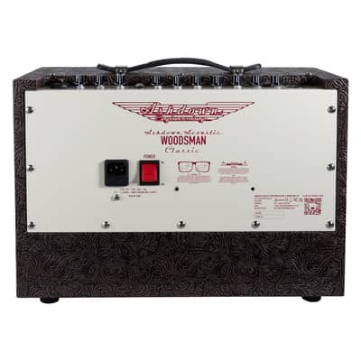 Ashdown Woodsman Classic | 40W 1x8 Acoustic Guitar Combo. New with Full Warranty! image 4
