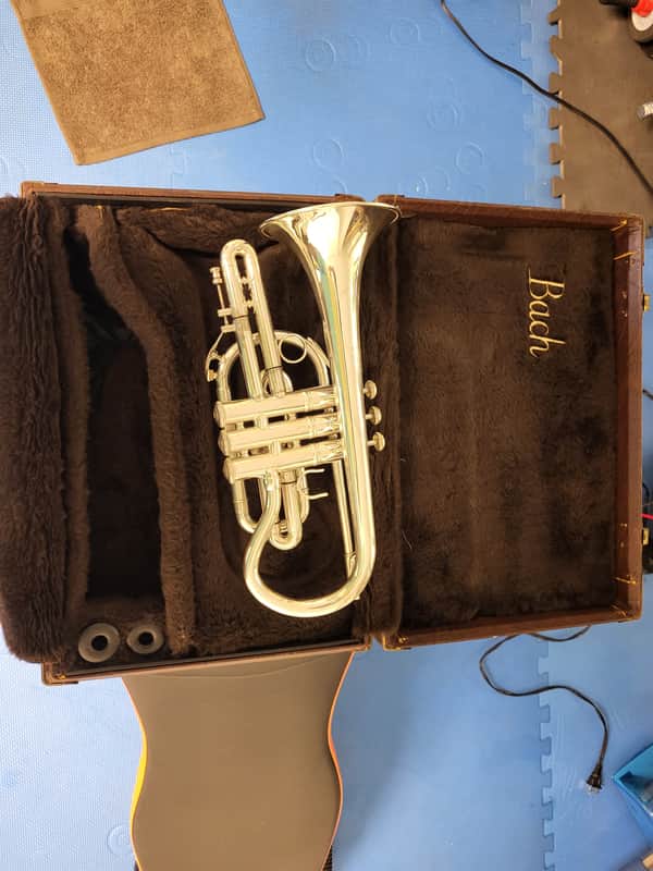 Bach Stradivarius 184 cornet