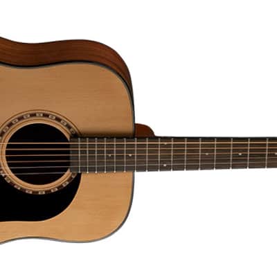 Washburn D5CE image 1