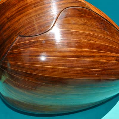 Vintage 1925 Prof. Raffaele Calaci Mandolin image 24