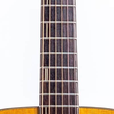 Daion Mark IV Acoustic - Yamaki Made - Serial 80070205 image 2