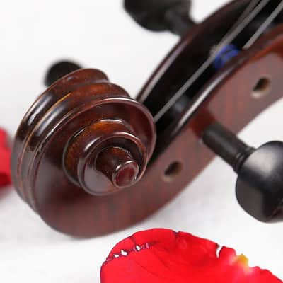 Strumenti a Corde 2500 Viola 12" - Solid Wood, Hand-Carved Spruce and Maple with High-Grade Case and Bow image 5