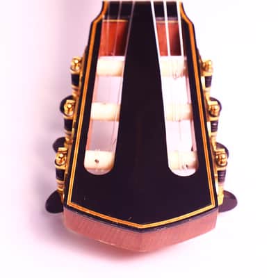 Carlos Juan Busquiel 2010 - fine handmade classical guitar in Torres style inspired by Jose Luis Romanillos - check video! image 11