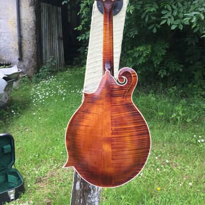 Vanden F5 Mandolin image 2