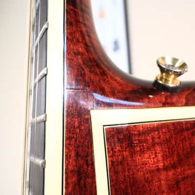 2005 Eastman AR805CE Classic Archtop Guitar image 21