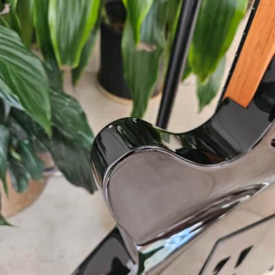 Godin xtSA and Boss GR-55 image 15
