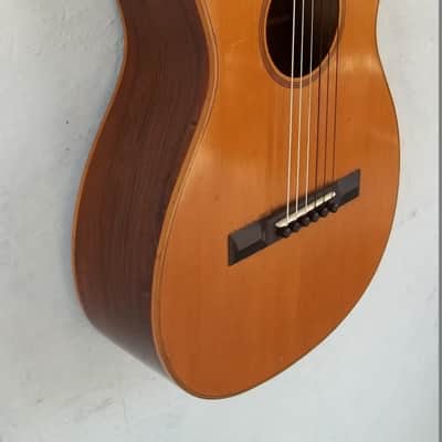 Fine Hall&Sons/James Ashborn Style 2 Parlor Guitar circa 1850. New Price. image 12