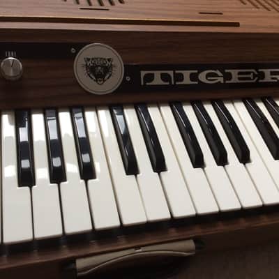 EKO Tiger 3000 . 1970's Organ Combo . Amber Wood Vintage Analogue Electric piano - made in Italy image 1