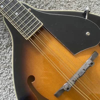 Washburn 8 String Mandolin in Tobacco Burst, Spruce Top Mahogany Body and Neck, Rosewood Fingerboard image 8