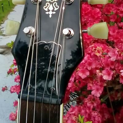 Gorgeous Samick Artist Series LS650 Goldtop Les Paul, Set Neck, GFS Alnico V's w/ Coil Split, Case image 7