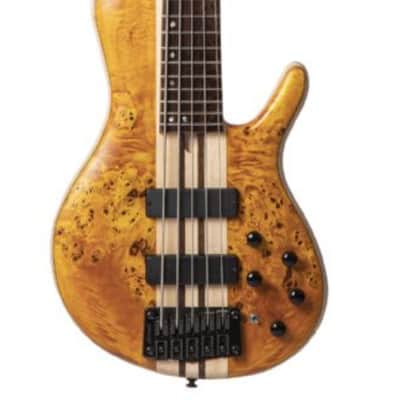 Cort A5PLUSSCAOP Artisan Series A5 Plus SC Bass Guitar. Amber Open Pore image 3