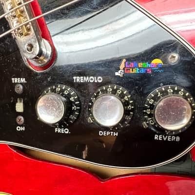 Epiphone Professional EA-7P Outfit 1963 image 10