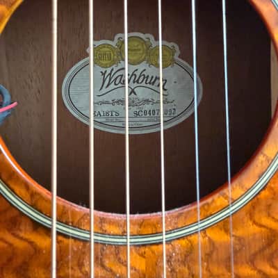 Washburn EA18TS 2004 - Tobacco Sunburst image 4