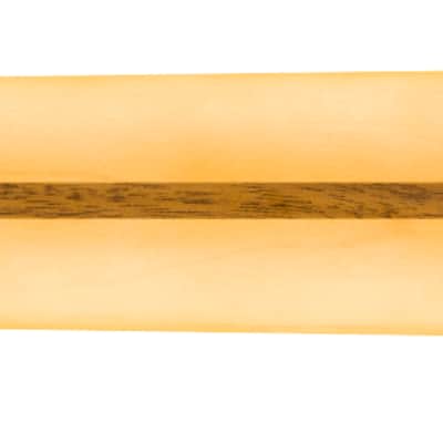 Fender American Professional Classic Telecaster Neck 22 Medium Jumbo Frets 9.5" Radius Rosewood image 2