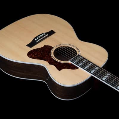 Godin Fairmount CH LTD Rosewood HG EQ, LR Baggs Electronics, Gig Bag Included image 10