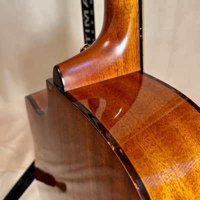 Breedlove AD25/SM 2000s - Natural image 6