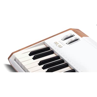 Arturia AstroLab - Synthesizer image 6