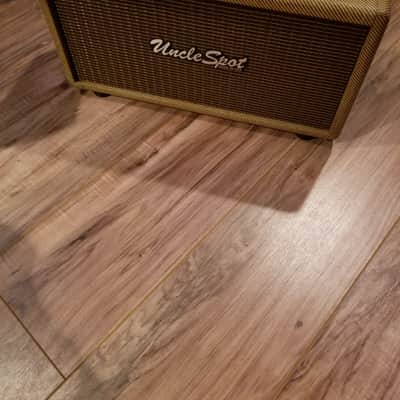 Uncle Spot Spring Reverb -analog tube driven- tweed with cover image 10