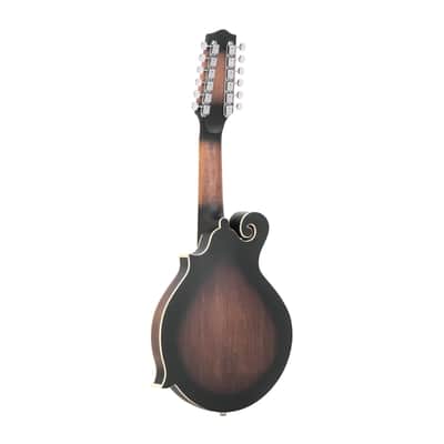 Gold Tone F-12: 12-string F-style Mando-Guitar with Pickup and Case image 9