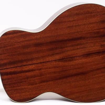 Recording King RO-16 Classic Series Acoustic Guitar Excellent! image 6