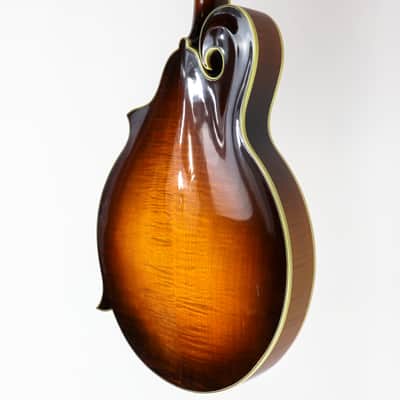 Monteleone Grand Artist Mandolin #164 image 11
