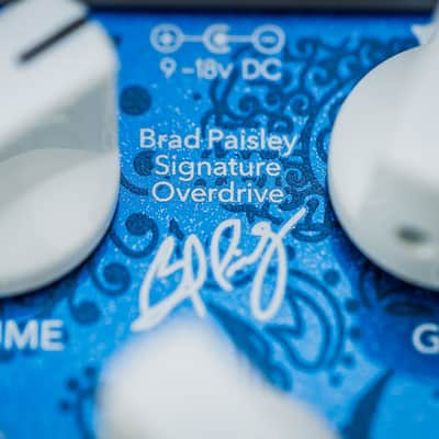 Wampler Paisley Drive Pedal image 3