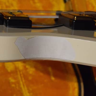 Supro  Dualtone 1960 image 7