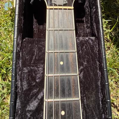 Taylor T3B 2010 - Cherry Fall limited edition image 10