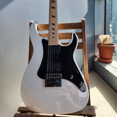 Caparison Dellinger-JSM Joel Stroetzel`21 image 1