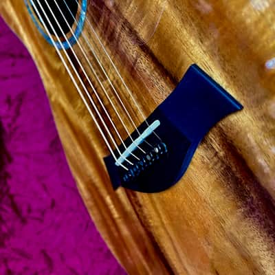 Taylor Spring Limited Edition Grand Concert Acoustic-Electric Guitar 2010 - Natural image 15