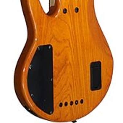 Michael Kelly Pinnacle 5-String Bass Electric Bass Guitar with Natural Burl Finish image 6