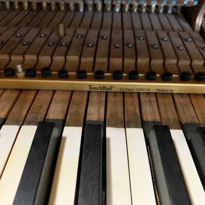 Steinway B 1904 - Black image 8