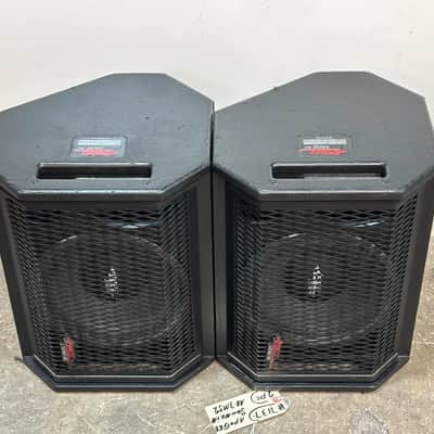 Apogee Sound AE-3Ms2 10" 2-Way Stage Monitor Loudspeaker #7137 (PAIR) THS image 13