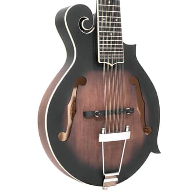Gold Tone F-12: 12-string F-style Mando-Guitar with Pickup and Case image 1
