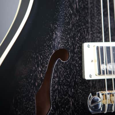 PRS SE Hollowbody Standard Piezo Dog Hair Smokeburst image 8