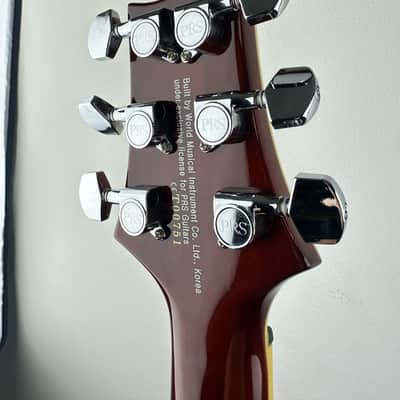 PRS SE Custom 22 Semi-Hollow Tortoise Shell 2019 Europe Exclusive LTD with bag image 9