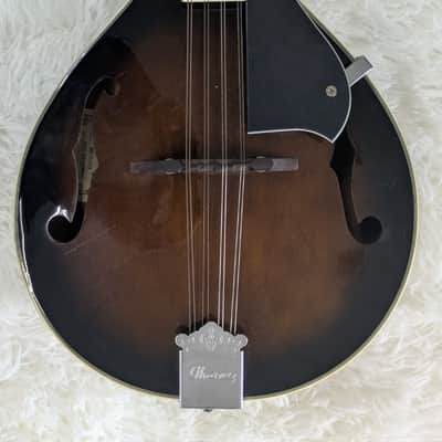 Ibanez 8-String A-Style Acoustic Mandolin Dark Violin Sunburst Finish M510DVS image 1