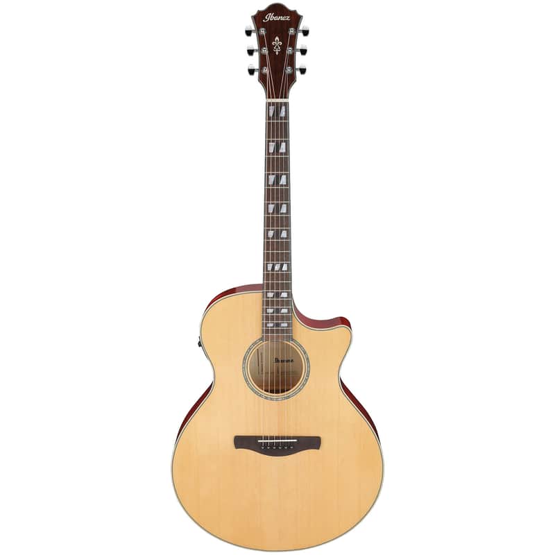 Ibanez AE170 image 1