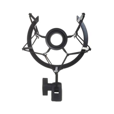 Neumann TLM102 Studio Set (Black) Condenser Microphone with EA4 Shockmount image 7